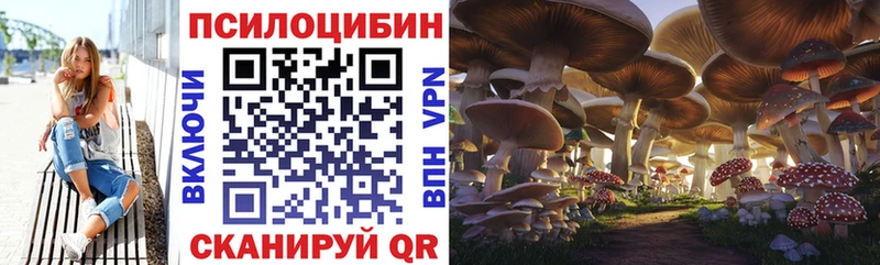Псилоцибиновые грибы прущие грибы купить цена Усть-Илимск