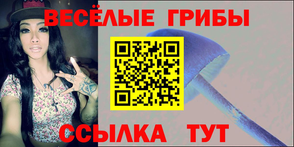 наркошоп  Усть-Илимск  Псилоцибиновые грибы ЛСД 